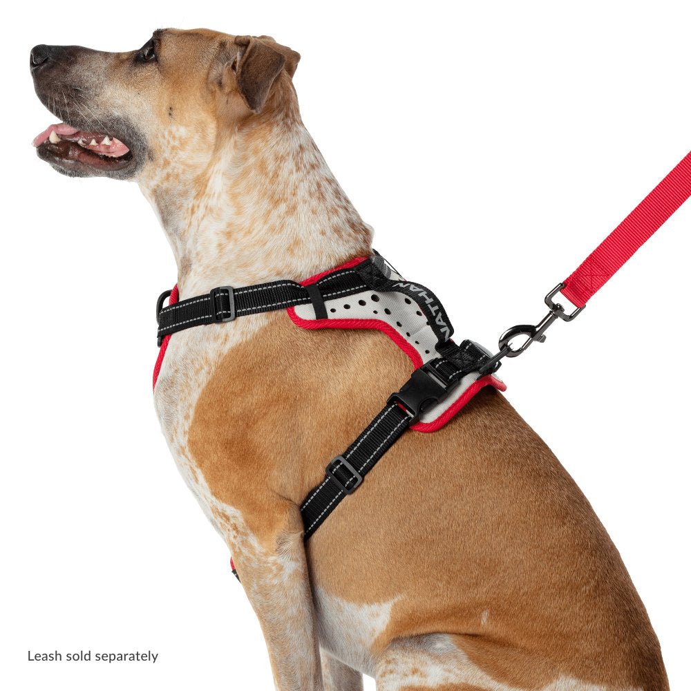 Nathan K9 Series Dog Harness With Leash